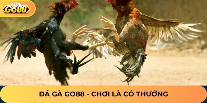 Nhận code đá gà Go88 siêu khủng vào mỗi tháng